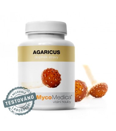 AGARICUS - Žampión mandlový - doplněk stravy